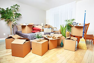 MOVE IN-OUT CLEANING